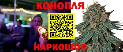 сатива Коммунар