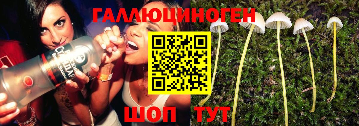 Галлюциногенные грибы мухоморы Камень-на-Оби