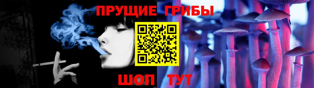 где можно купить наркотик  Галлюциногенные грибы прущие грибы  Вход с VPN  Псилоцибиновые грибы MAGIC MUSHROOMS  Камень-на-Оби 
